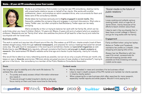 User persona - our trial version. Click to see a bigger version.